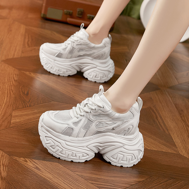 Women's Fashion Chunky Platfor - Mesh Sneaker Women 评论和价格