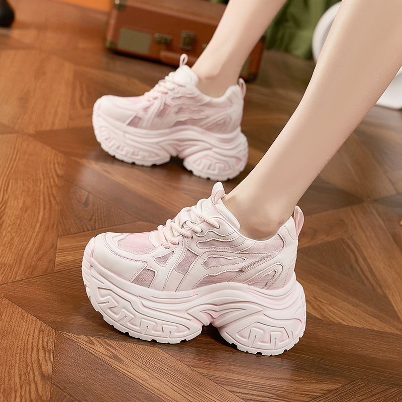 Women's Fashion Chunky Platfor - Mesh Sneaker Women 评论和价格