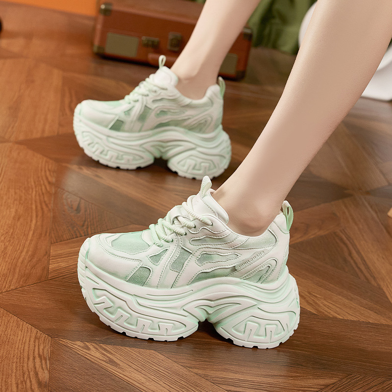 Women's Fashion Chunky Platfor - Mesh Sneaker Women 评论和价格