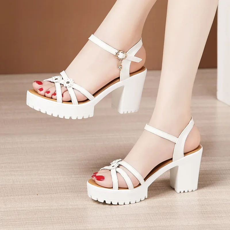 8cm Small Size 32-43 Elegant F - Women Shoes Model 评论和价格